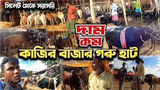 Kazir Bazar Sylhet Gorur Haat | সিলেট কোরবানির গরুর হাটে গরুর দাম কত | কাজির বাজার গরুর হাট 2023