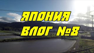 Влог DreamRoad Япония №8