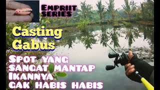 HAJAAAAAAR❗❗❗ikan gabus di sini gak habis habis|| casting ikan gabus di tambak