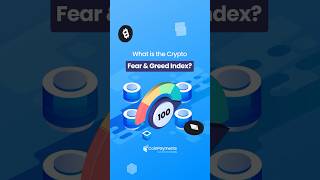 💫 Are you panic selling the fear or buying euphoria? The Fear & Greed Index explained!