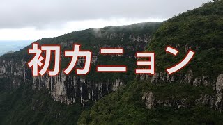 [ネイチャー]人生初カニョン行ったら　野生のカピヴァラに出くわした