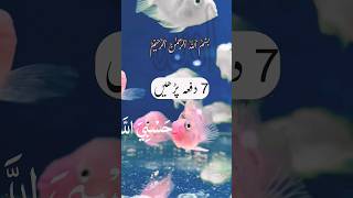 Hasbi Allah hu lailaha #ytshorts #viral #shorts #wazifa