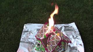 Lighter Fluid + Gingerbread = Good Time