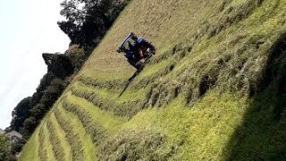 Rowing up silage 2019