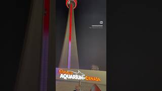 CN TOWER TORONTO CANADA at night