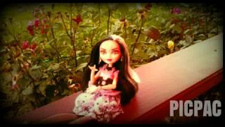 Мои куклы... #picpac #monsterhigh