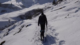 Wandern im Tannheimer Tal mit der Insta360 X3 #hund #wandern #tannheimertal #winter #insta360