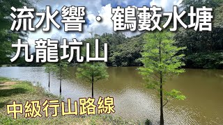 流水響水塘→鶴藪水塘→九龍坑山｜冇你想像中咁輕鬆簡單⋯⋯