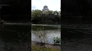 Keindahan Osaka Castle in Japan #Shorts