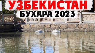 [38] Бухара 2023 и некоторые ее красоты | Из Ташкента в Бухару на три дня