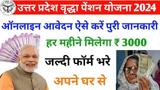 Vridha pension online apply 2024 | old age pension form fill up 2024 | vridha pension June 2024