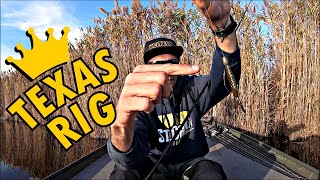 Il TEXAS RIG, il RE degli inneschi per il BASS FISHING! [Beginner Tutorial]