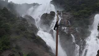 Train passes close to the Mighty Dudhsagar falls!