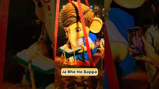 Ja Rahe Ho Bappa 😥 |Raipur Cutest Ganpati Bappa Visarjan|Ganpati Visarjan|Ganesh Visarjan