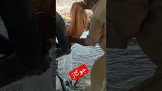 جوگاڑ#foryou #viral #youtubeshorts