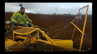 Cutting & harvesting willow on our farm