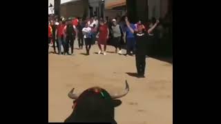 bull attack Best Animals compilation 2021| #shorts | Top Viral Animal Videos