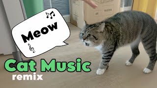 Cat Remix song - Music Meow number 15