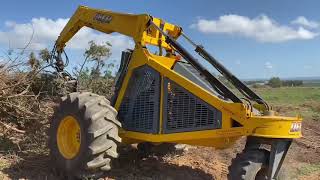 Three Wheelers Logger Dezzi Logger feeding a Bandit Model 2680 Beast