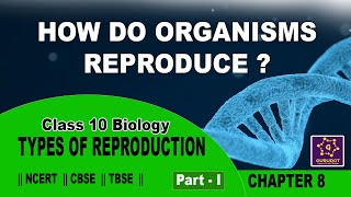 How do organisms reproduce  Class 10  Science Part 1