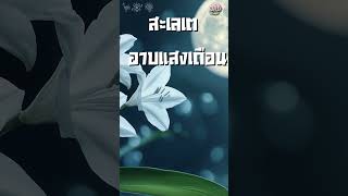 สะเลเตอาบแสงจันทร์ เพลงลูกทุ่งอีสานชื่นชมดอกไม้ ต่อจากเพลงอินถวา  #เพลงใหม่ล่าสุด