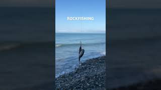 ROCKFISHING в прямом смысле этого слова) А у вас были неожиданные уловы⁉️😂 #fishing #rockfishing