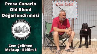 Cem Çelik'ten Mektup Bölüm 5 - Presa Canario Old Blood Değerlendirmesi