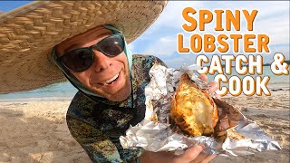 Cooking Fresh Spiny Lobster On A Driftwood Beach Fire | CATCH AND COOK | Sailboat Story 268