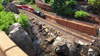 Following the Coal train around town in Tall Tree Arboretum