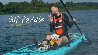 SUP Paddle with pet