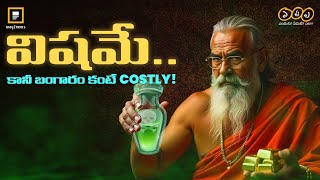 లీటర్ తేలు విషం ధర రూ.80కోట్లు | Scorpions | Way2news Telugu