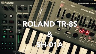 Roland AIRA TR-8S & Boutique SH-01A Techno Jam