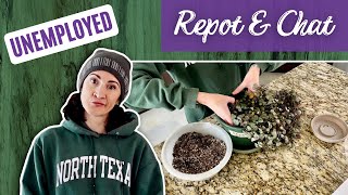 I Just Lost My Job, So Now What? | Repot and Chat