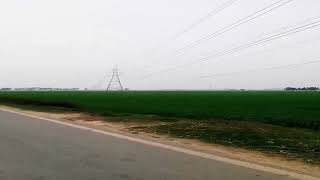 #green #pakistan #viral #love#gujranwala