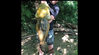 DROPLINE for Catfish Compilation  with a couple surprise catches