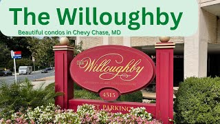 Welcome to The Willoughby