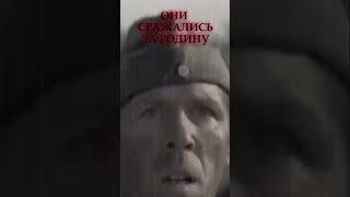 ОНИ СРАЖАЛИСЬ ЗА РОДИНУ!!!  #новинка #zaнаших #вов #ww2 #топ #памятьнарода