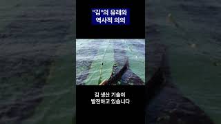 "김"의 유래와 역사적 의의