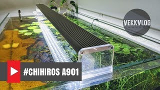 Unboxing Chihiros A Series A901 ,  montaggio , installazione , test e prime considerazioni.