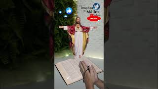 ORAÇÃO DO DIA:  salmos. #oração #video #jesus  #deus #biblia #salmos #fé