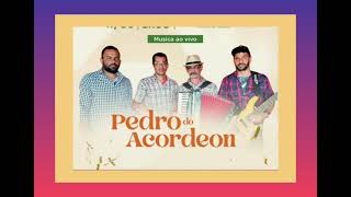 Pedro do Acordeon. Em Inhambupe-Ba  Forró e sanfona. instrumental