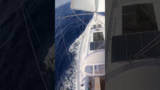 Downwind Rig - Crossing the Atlantic - Hanse 588 #shorts