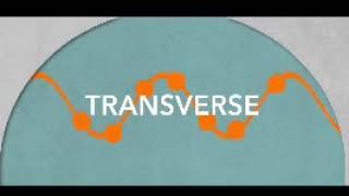 Transverse Wave