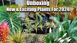 Unboxing a Lot of New Plants! New Cold Hardy Tropicals!