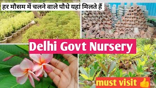 Govt Nursery Delhi/ Hardy and low care plants collections