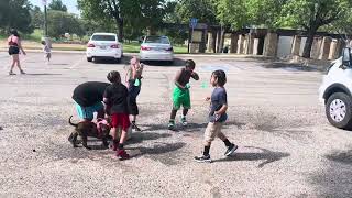 Old school water balloon fight #summer #california #waterballonfight #fun