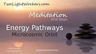 Energy Flow. The Microcosmic Orbit