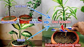 बारिश में होने वाली सभी समास्याओं का एक Solution #MonsoonGardening #RainProofGarden