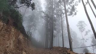 Vathakanal | Dolphin Nose | Kodaikanal Trip part 3 #dolphinnose #kodaikanal #2022