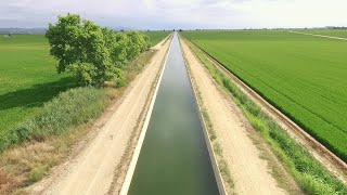 DOCUMENTAL: L'aigua. Esclat de Vida (Tràiler)